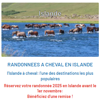 Promotion randonnée à cheval en Islande