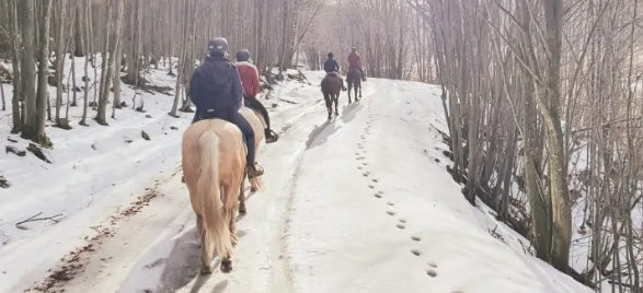 rando a cheval en Roumanie