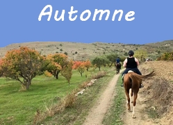 rando a cheval automne