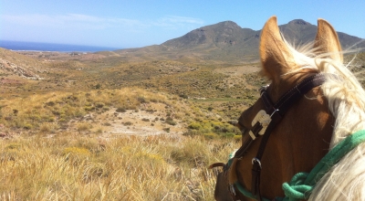 Voyage a cheval en Andalousie