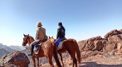 rando cheval Jordanie