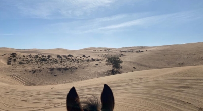 Rando  a cheval Maroc