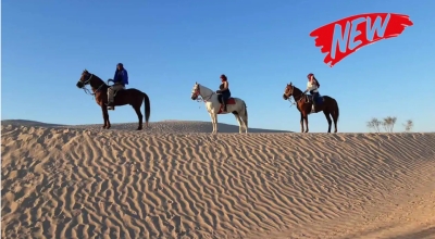 rando a cheval en Tunisie