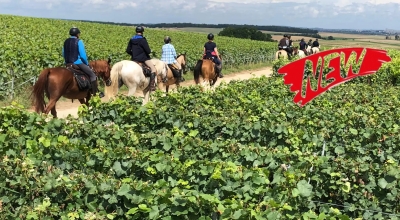 rando a cheval Sancerre