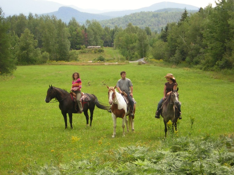 Randonnee A Cheval Canada Chevauchee Authentique Au Quebec Cap