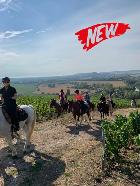 rando à cheval Sancerre