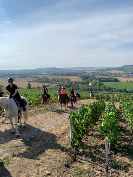 randnnée à cheval Sancerre