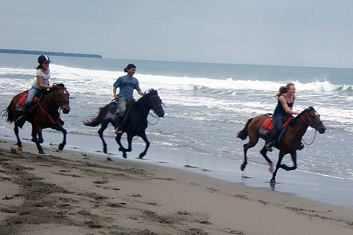 sejour cheval Costa Rica