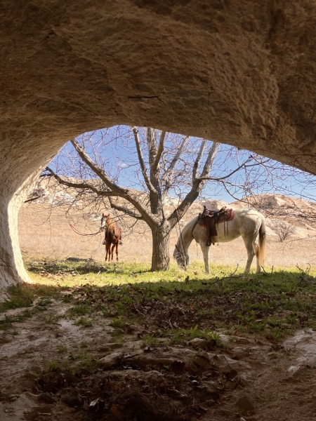 Randonnée à cheval Turquie Cappadoce