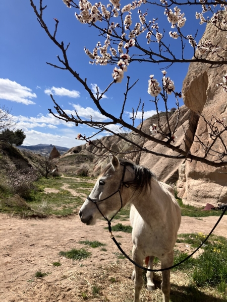 Randonnée à cheval Turquie Cappadoce