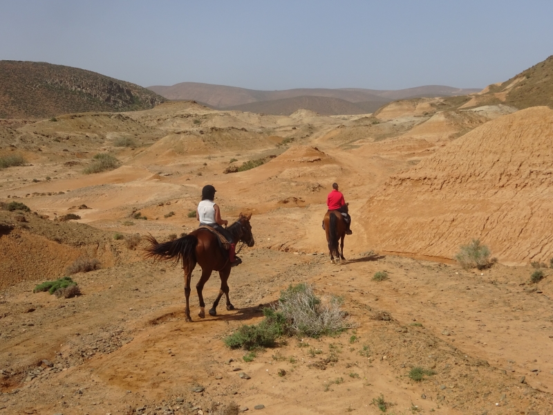 randonnée à cheval au Maroc