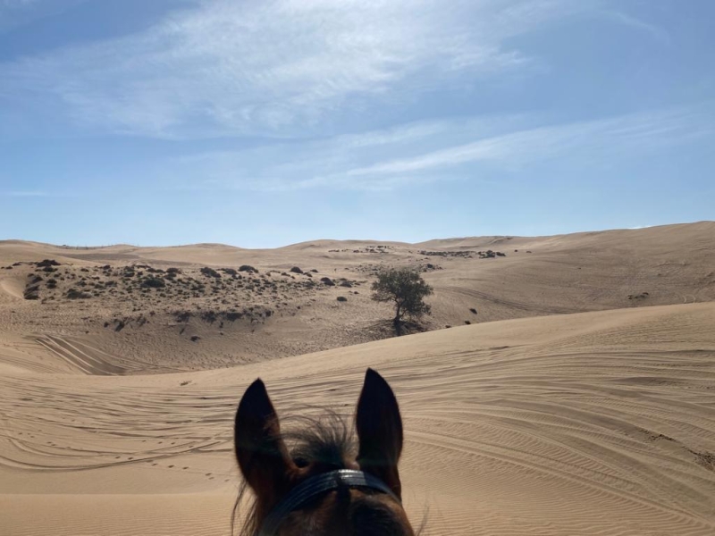 Rando  a cheval Maroc