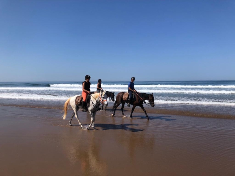 Maroc rando a cheval