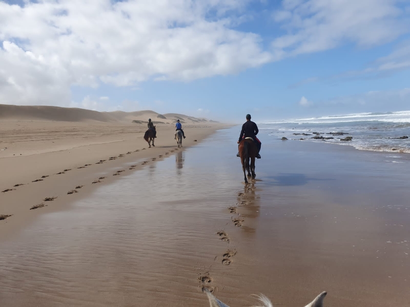 stage équitation au Maroc