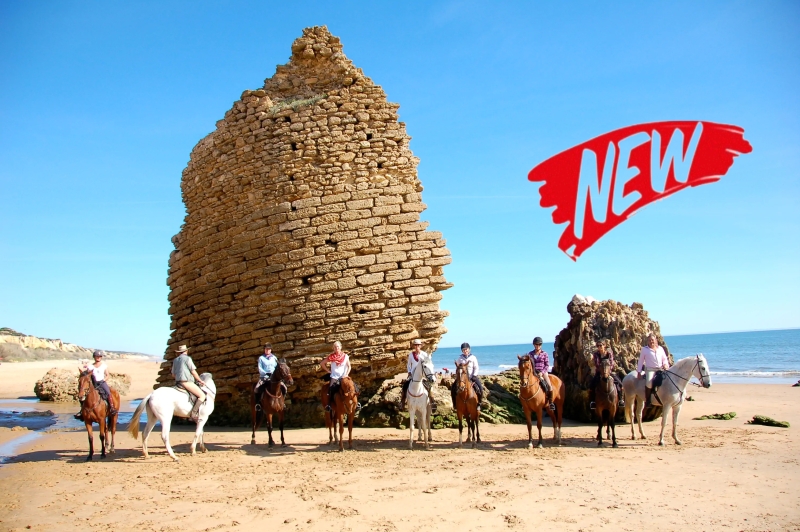 Rando a cheval Andalousie