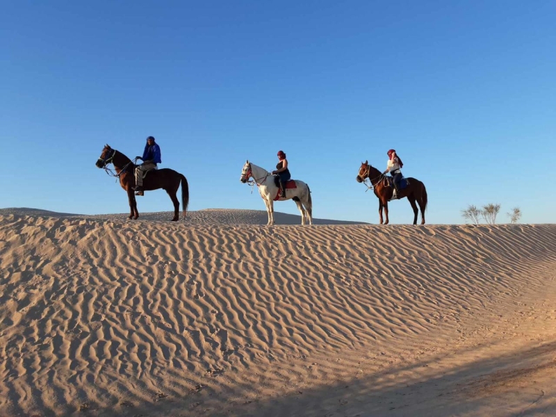 rando à cheval Tunisie