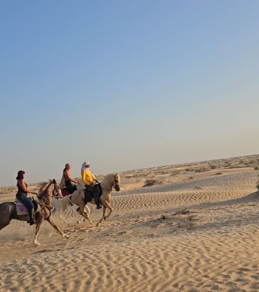 randonnée à cheval Tunisie