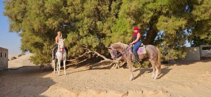 semaine rando à cheval Tunisie