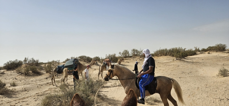 trek à cheval en Tunisie