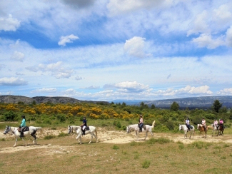 randonnee a cheval vaucluse