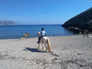 Balade à cheval sur la plage en Andalousie - Andaluciamia