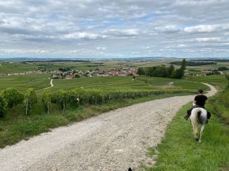 A cheval en Champagne