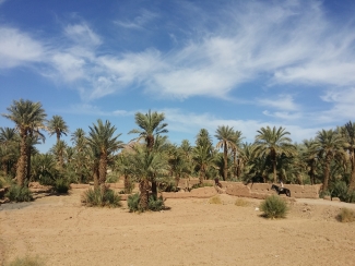 Maroc à cheval