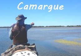 ​​Rando à cheval en Camargue